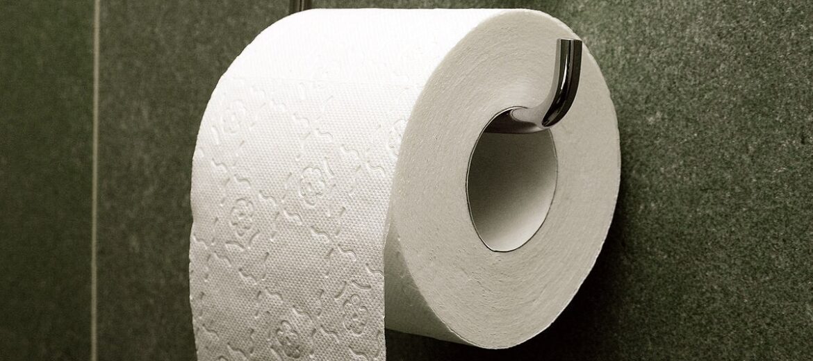 Best Toilet Paper