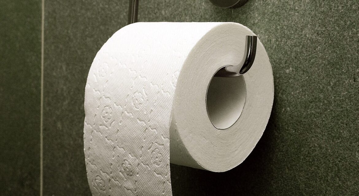 Best Toilet Paper
